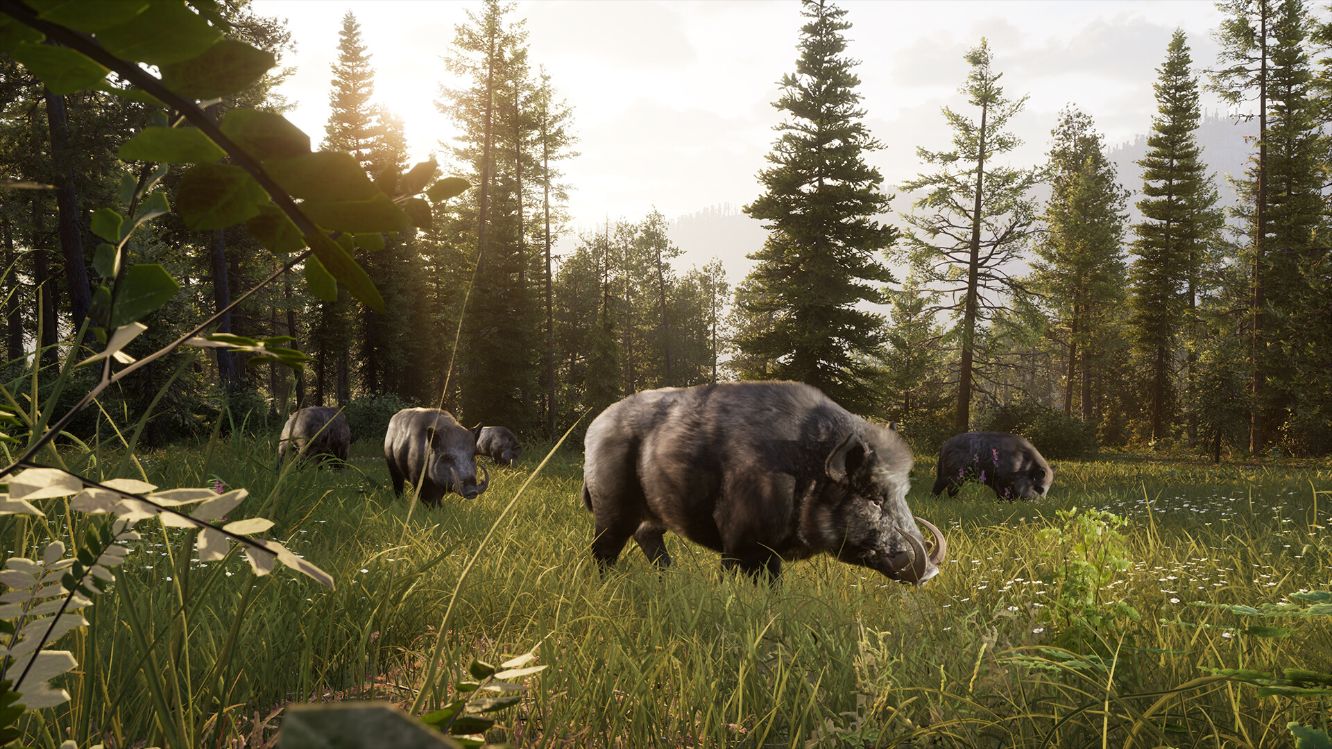 Un troupeau d'élans traversant une rivière au lever du soleil