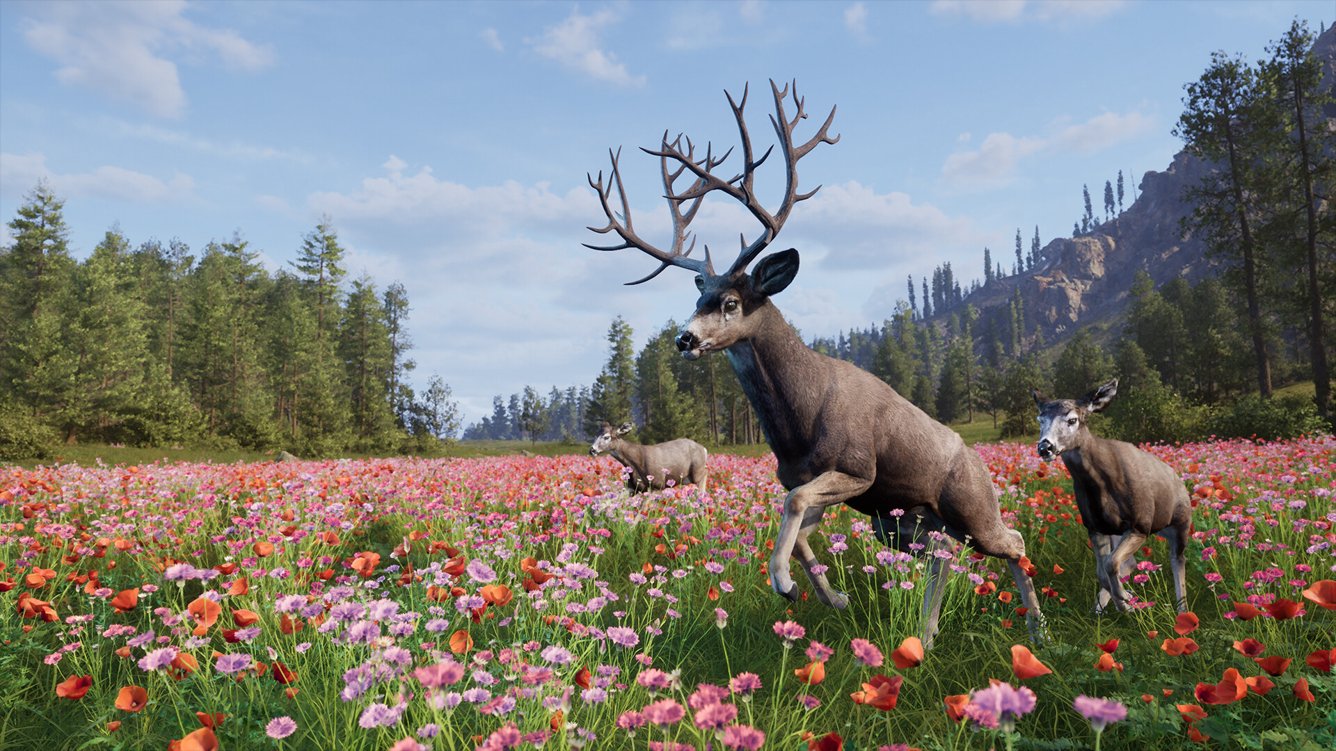 Gros plan sur l'équipement de chasse et la lunette de précision d'un fusil