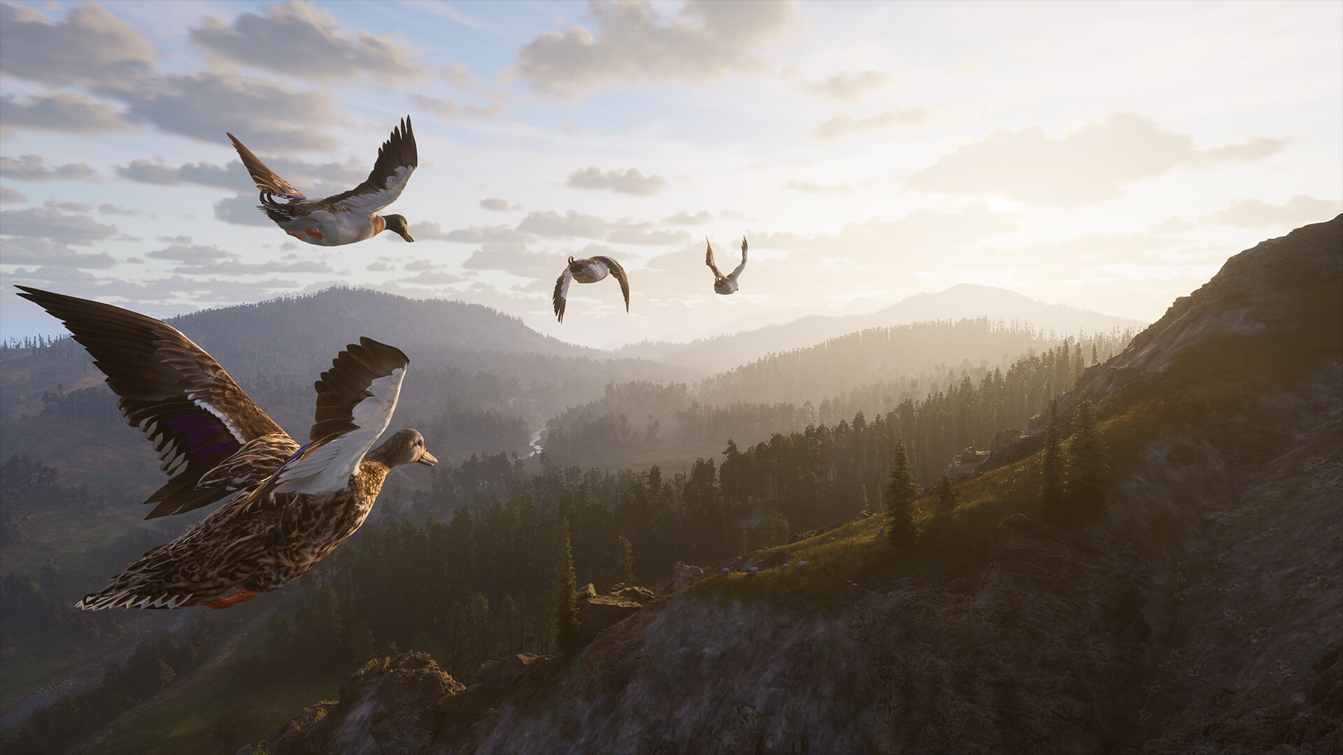 Vue panoramique d'une savane africaine sous un ciel orageux