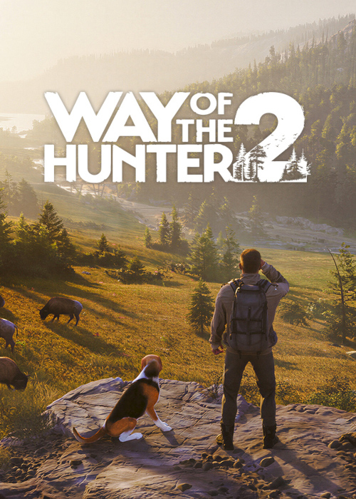 Un chasseur observant un cerf majestueux dans une vallée brumeuse